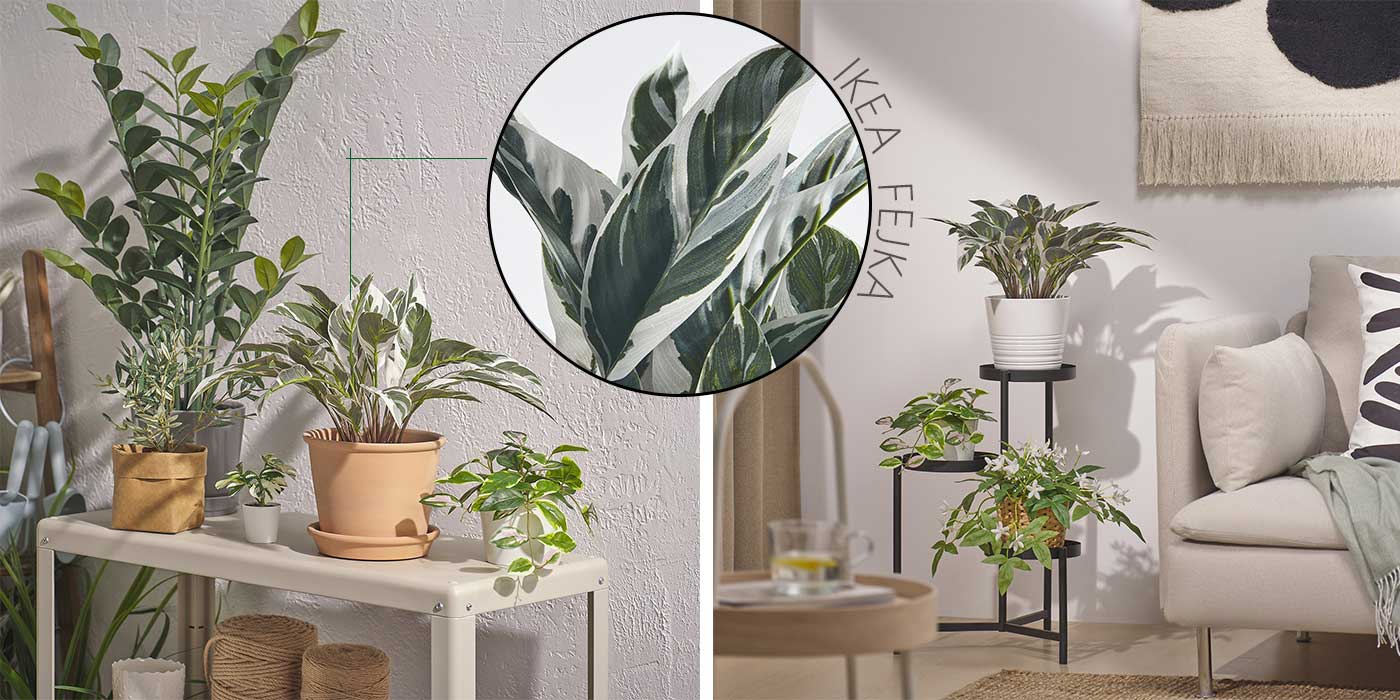 گیاه مصنوعی کالاتیا ایکیا مدل IKEA FEJKA